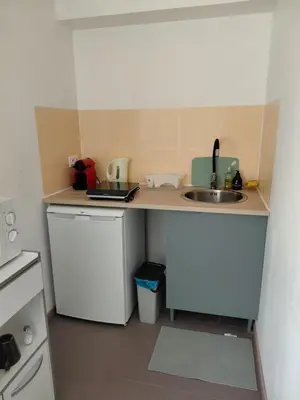 Cuisine ou kitchenette dans l'établissement Les appartements du Lion de Belfort