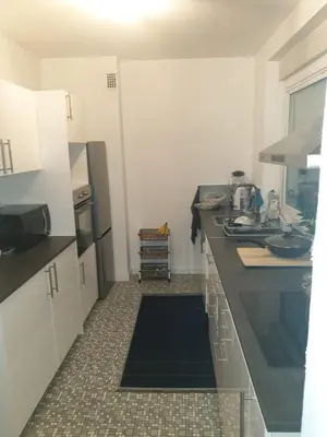 Cuisine ou kitchenette dans l'établissement LOVE Appartement partagé avec le proprietaire