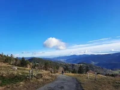 Paysage naturel près de l'appartement