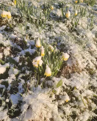 L'établissement La Ferme du Badon en hiver