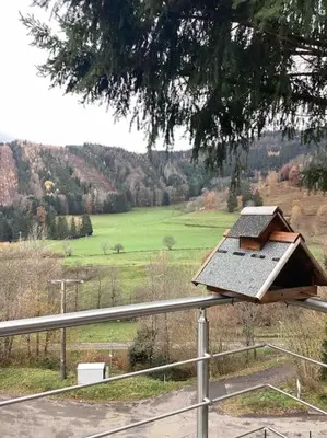 Paysage naturel près de l'appartement