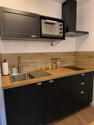 Cuisine ou kitchenette dans l'établissement Charmant studio - Gare colmar