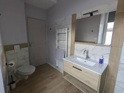 Salle de bains dans l'établissement Cosy Apt, Clim, Route des Vins