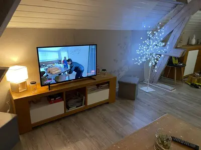 Télévision ou salle de divertissement dans l'établissement Loft avec jardin