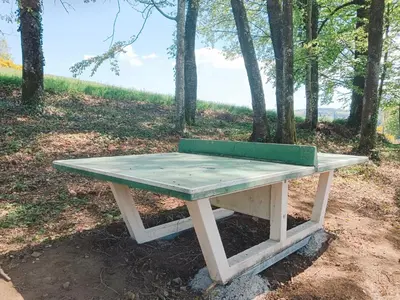 Plan de l'établissement Chalet idéal 4-8 pers avec garage 20 mn Gérardmer