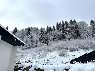 L'établissement APT. PRIVÉ «Le skieur» / Accès Ski / Cosy & équipé en hiver