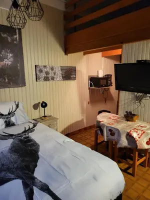 Télévision ou salle de divertissement dans l'établissement RESIDENCE BELLE HUTTE COTÉ PISTES DE SKI 2