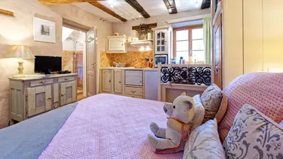 Cuisine ou kitchenette dans l'établissement Remparts de Riquewihr - Refuge du Lutin - Studio