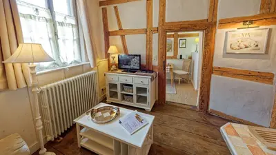 Télévision ou salle de divertissement dans l'établissement Remparts de Riquewihr - Le Petit Ours