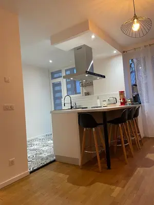 Cuisine ou kitchenette dans l'établissement Appartement du lion