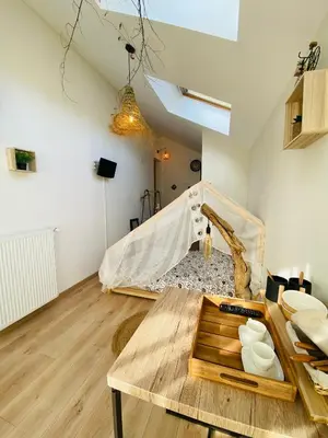 Télévision ou salle de divertissement dans l'établissement Le Nid Douillet
