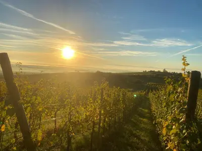 Paysage naturel près de l'appartement