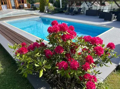 Piscine de l'établissement Chalet 2 personnes avec jacuzzi privatif et piscine saisonnière partagée ou située à proximité