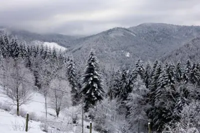L'établissement Appartement dans vielle ferme au coeur des Vosges en hiver