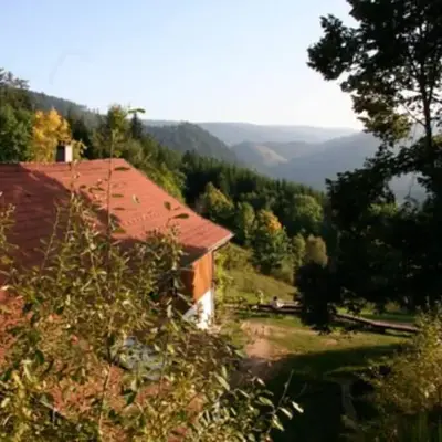 Appartement dans vielle ferme au coeur des Vosges