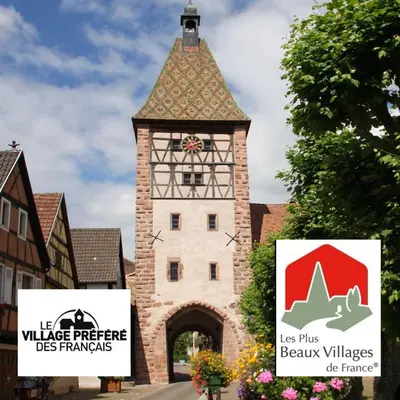 Certificat, récompense, panneau ou autre document affiché dans l'établissement Appartements duplex 3 et 4 personnes tout confort - Climatisation - Route des Vins - Centre Alsace