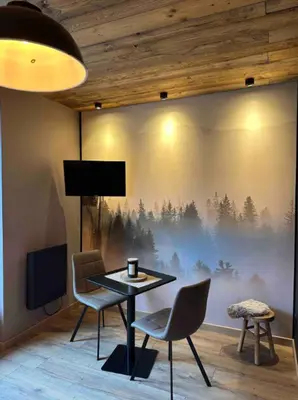 Télévision ou salle de divertissement dans l'établissement Studio façon chalet montagnard - Hyper centre