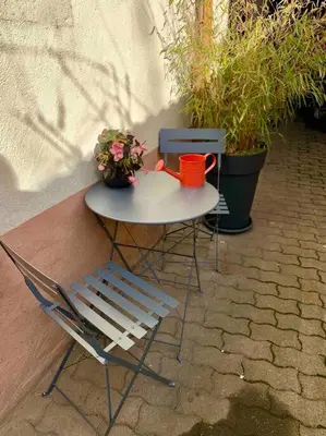 Jardin de l'établissement Studio cosy Kaysersberg centre