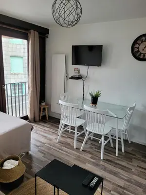 Télévision ou salle de divertissement dans l'établissement Studio plein centre-ville wifi