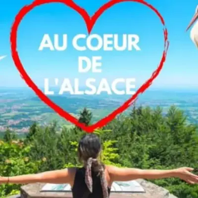 Plaisirs d'Alsace - Munster - Colmar - Route du vin
