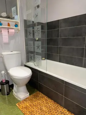 Salle de bains dans l'établissement Jolie appartement