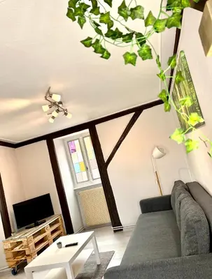 Télévision ou salle de divertissement dans l'établissement Seppala charmant appartement